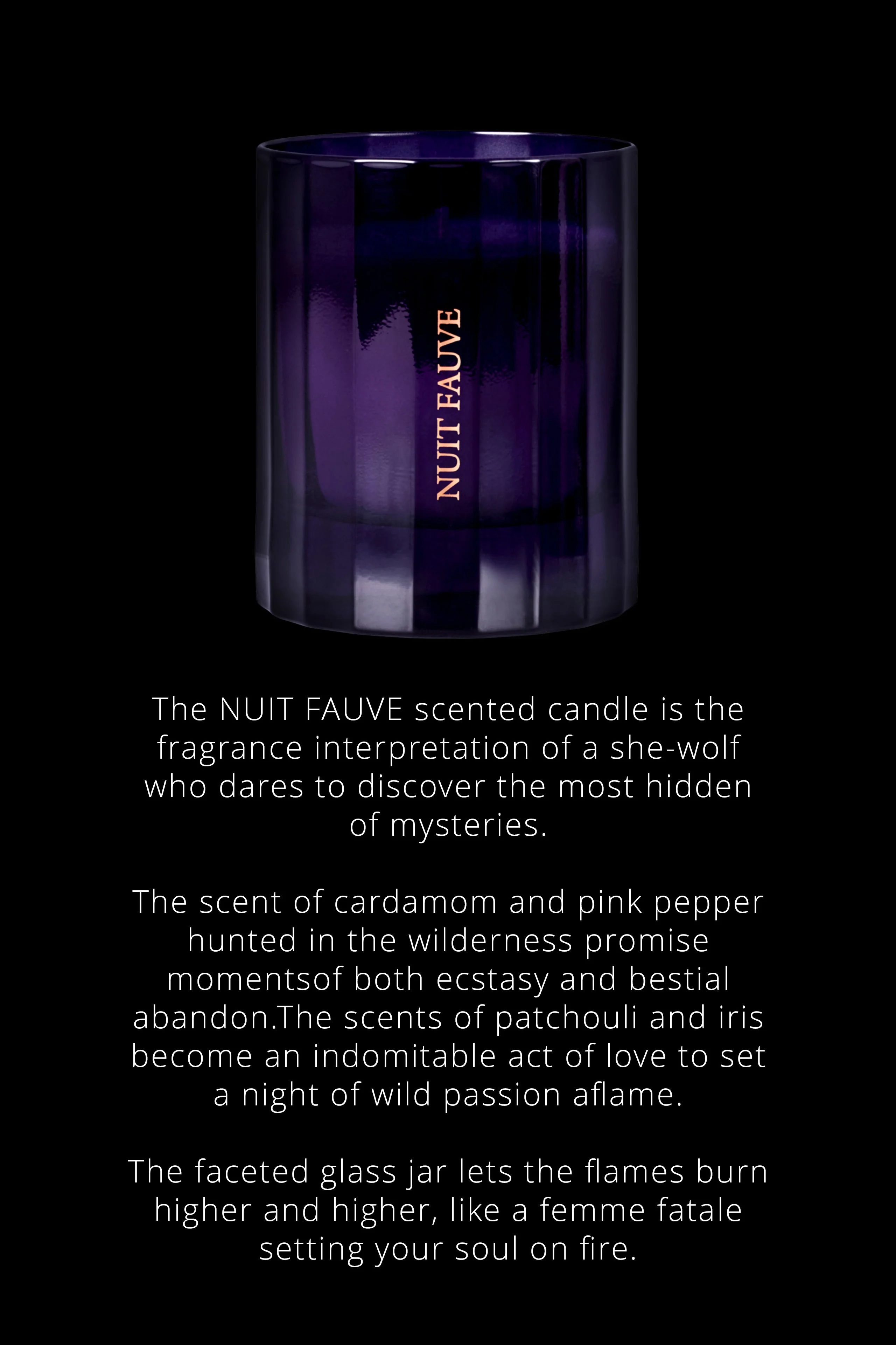 Candle Nuit Fauve - Chypre notes | Tawny - Image 2
