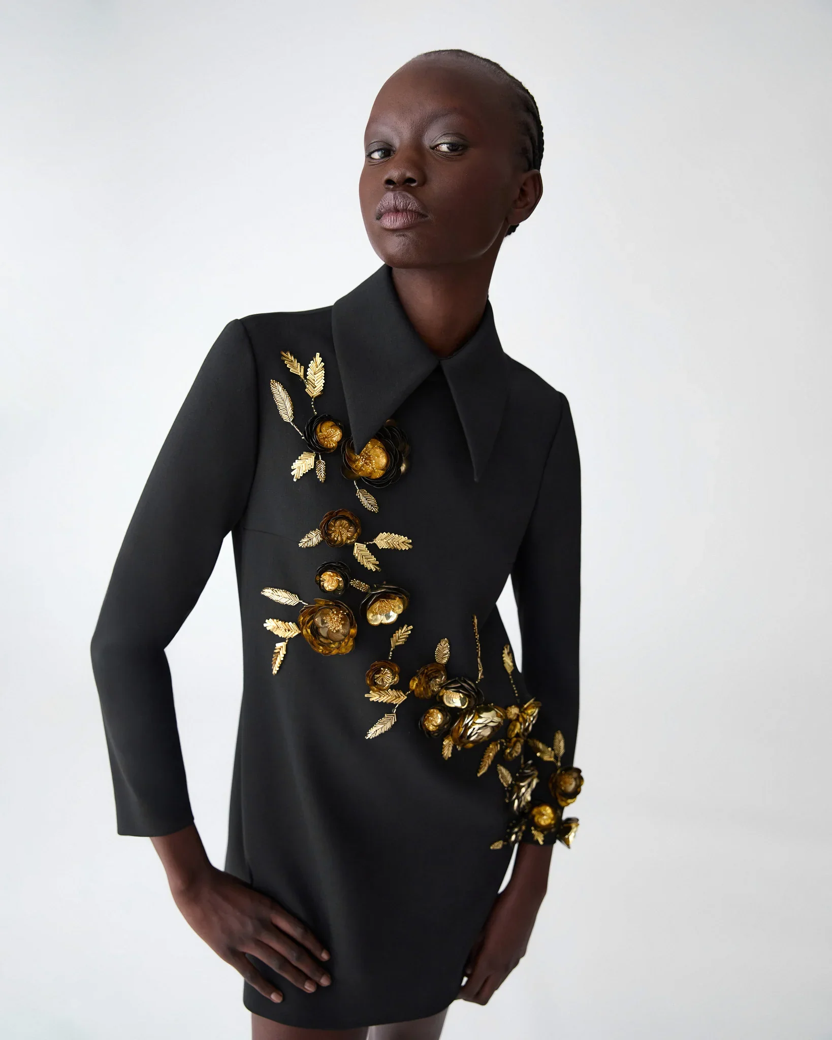 Embroidered Long Sleeve Shift with Collar | Black Multi - Image 5