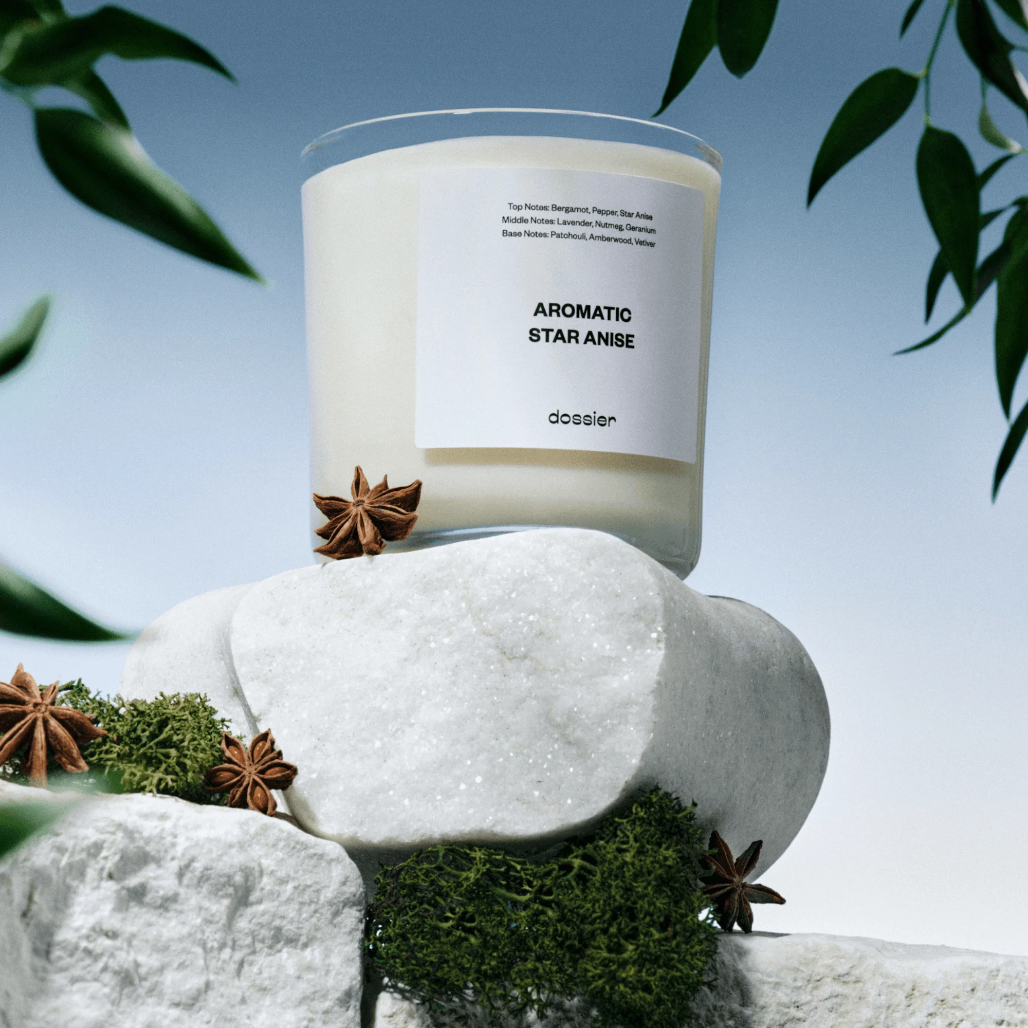 Aromatic Star Anise Candle 9Oz | Inspired By Dior - Sauvage Perfume - Image 11
