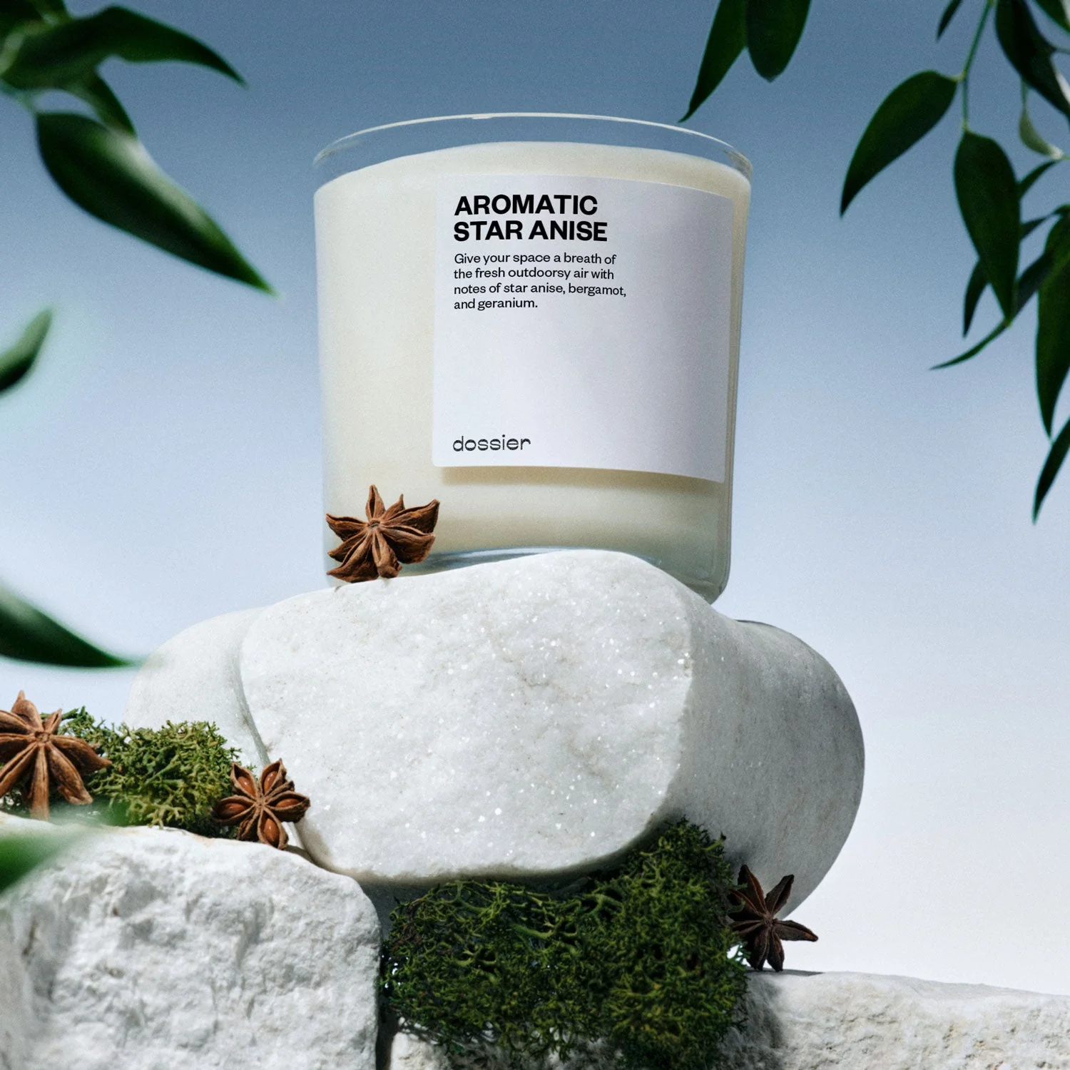 Aromatic Star Anise Candle 9Oz | Inspired By Dior - Sauvage Perfume - Image 6