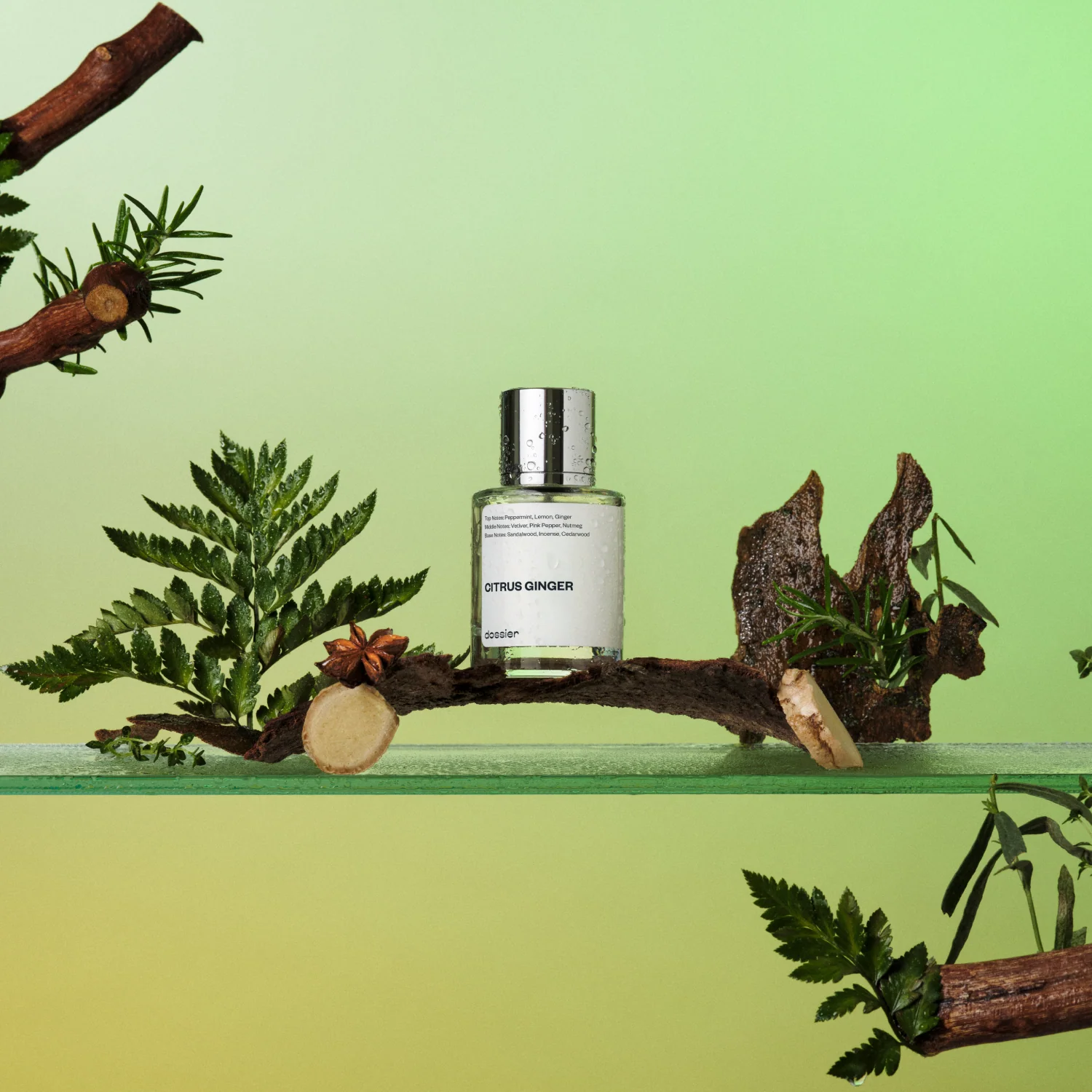 Citrus Ginger 50ML | Inspired By Chanel - Bleu de Chanel - Image 3