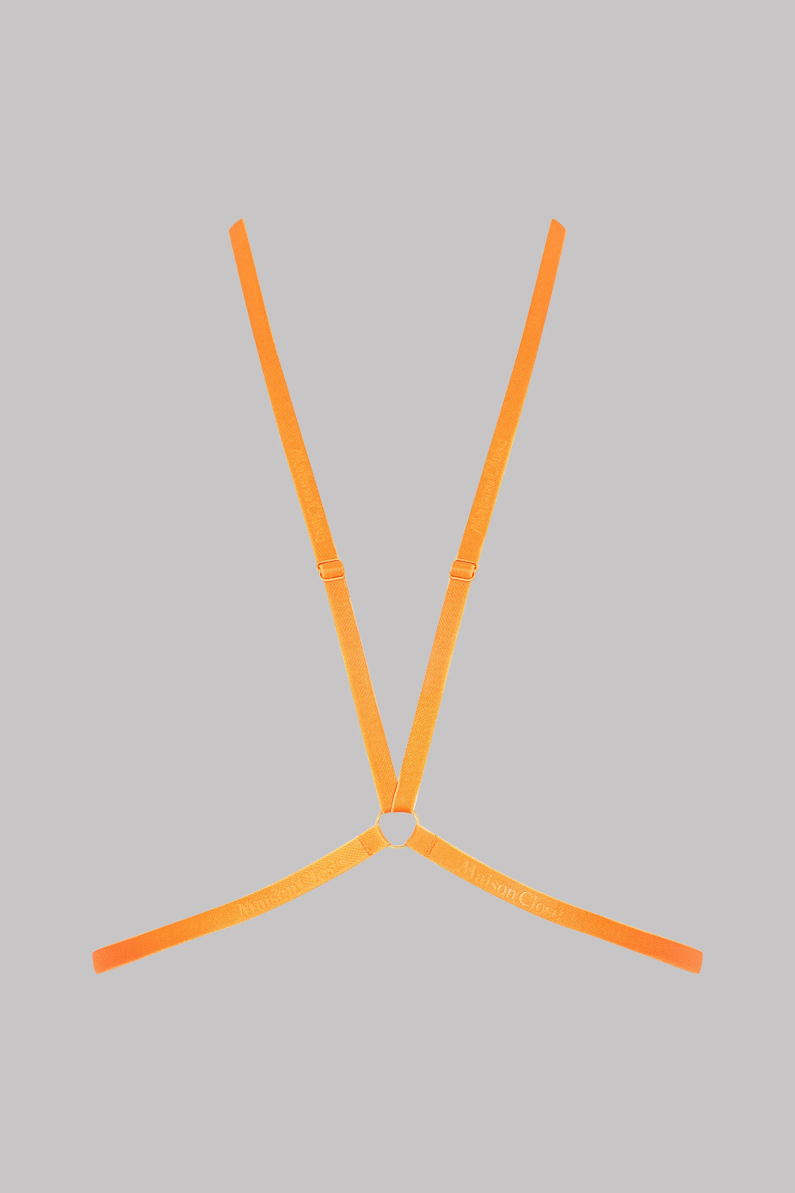 Harness - Signature | Orange - Image 4