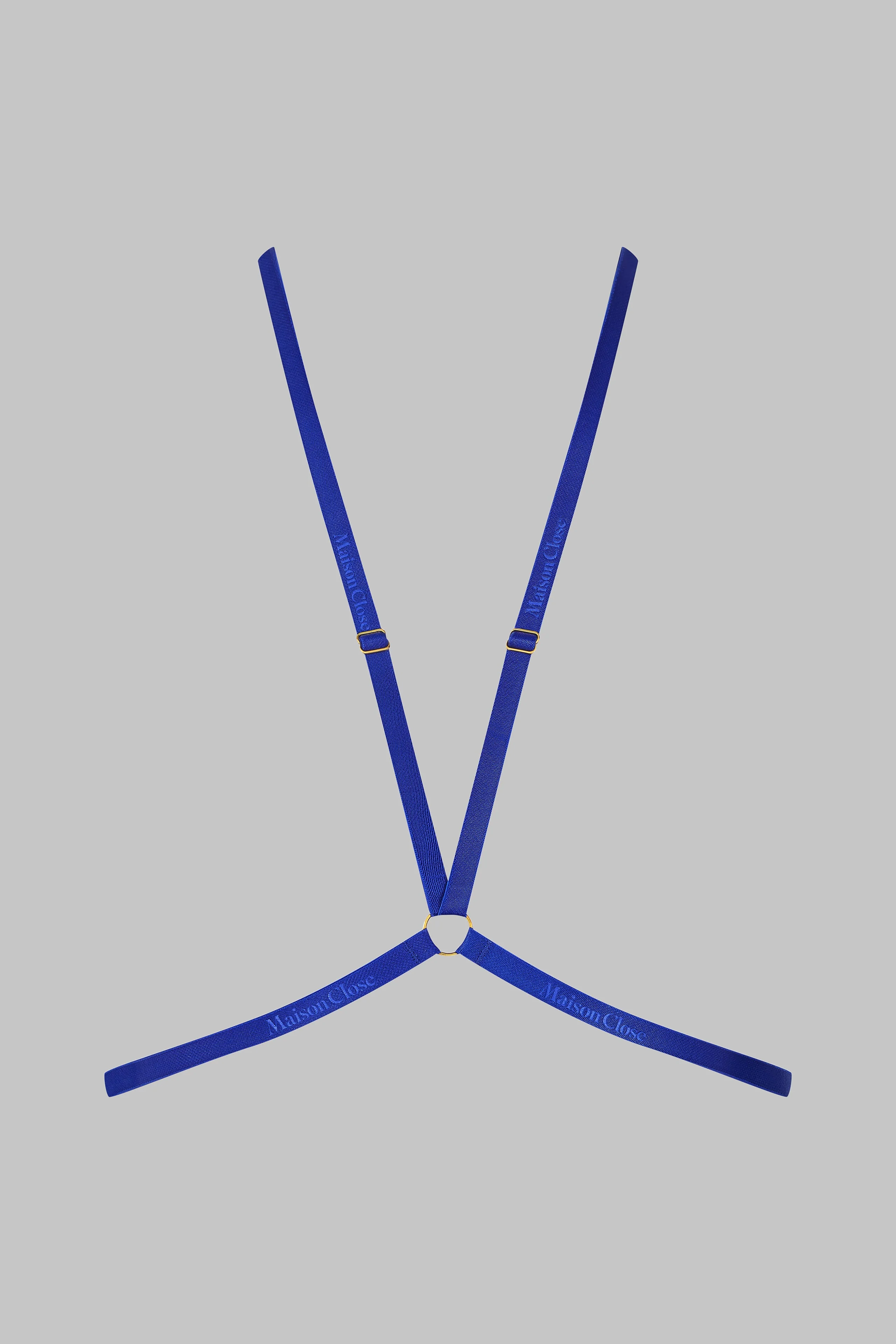 Harness - Signature | Blue - Image 4