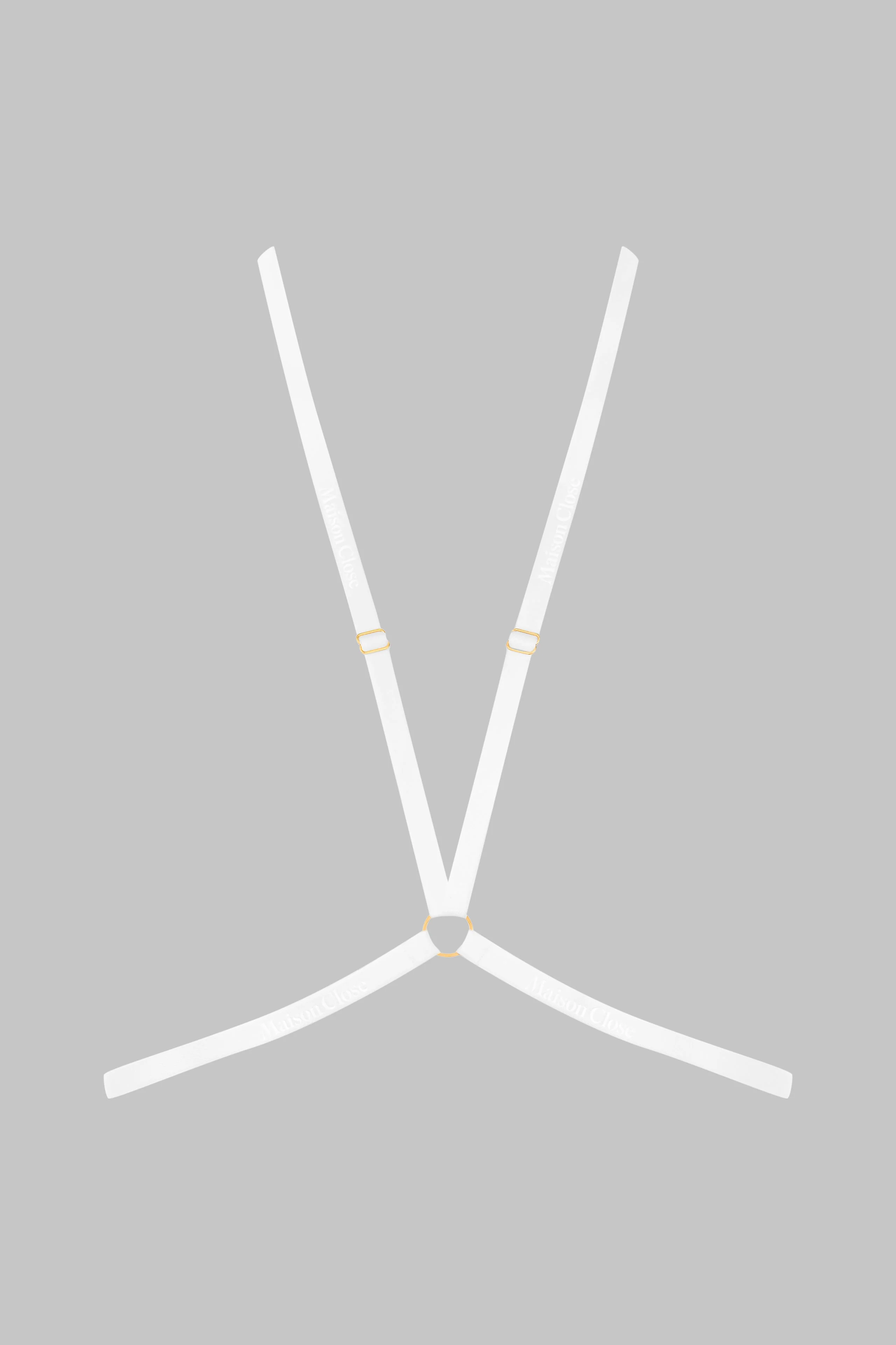 Harness - Signature | Blue - Image 2