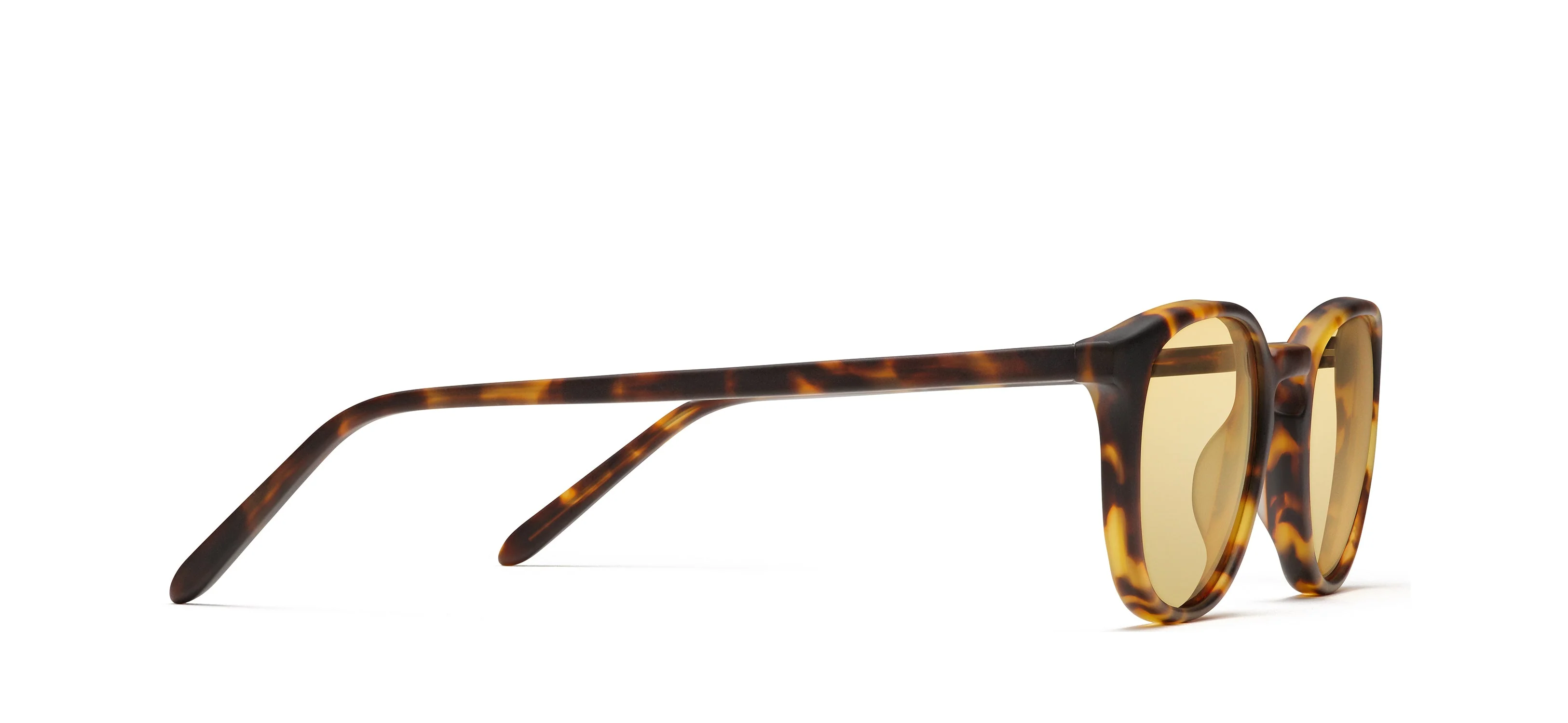 Unisex | Ben Sunglasses | Tortoise - Image 2
